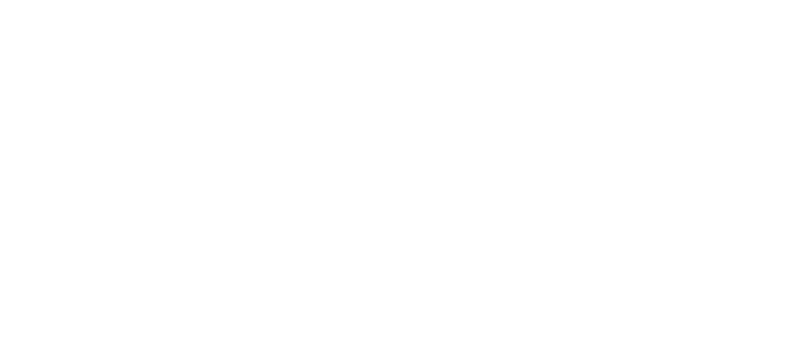 Spot Logo